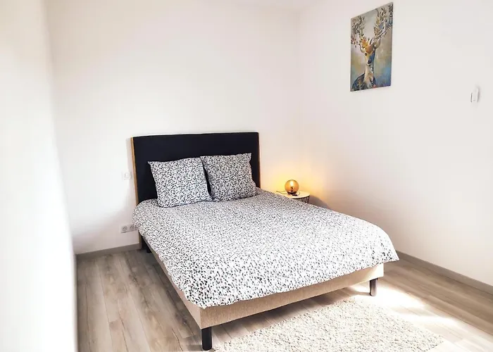 ⁂⁂ Le Chamois Cledicihome / Magnifique Vue Sur Les Montagnes / 4 Kms De Gerardmer ! ⁂⁂ Apartmán Rochesson